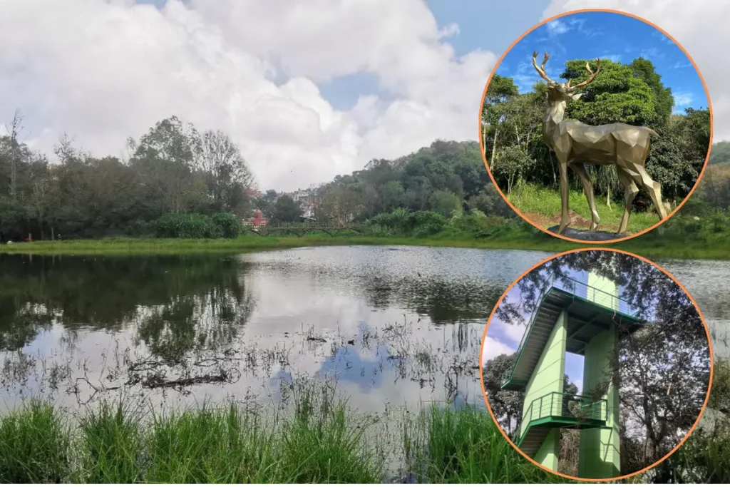 Lugares para visitar en Xalapa
