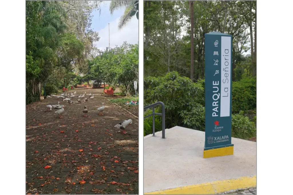 Parque La Señoría