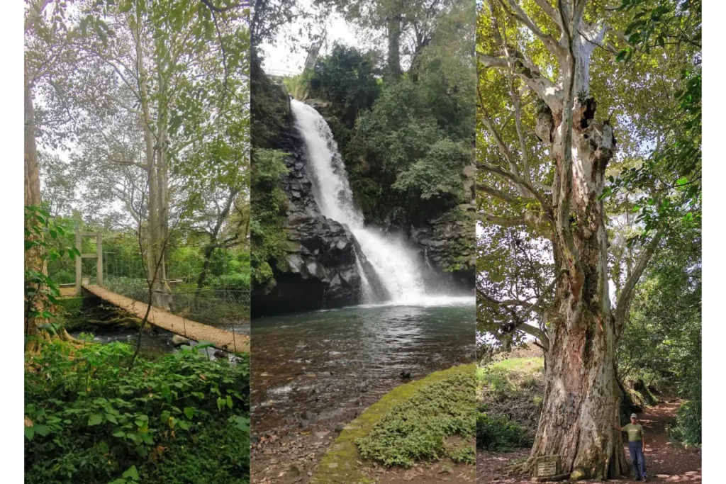 Parque Lineal Quetzalapan-Sedeño