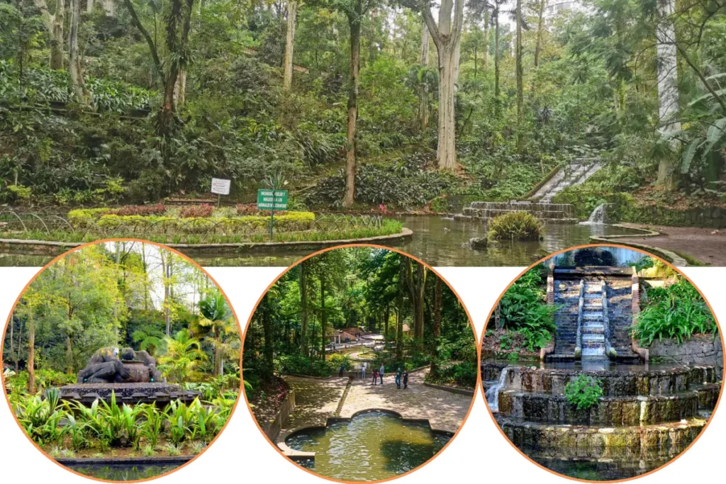 Parque Tecajetes