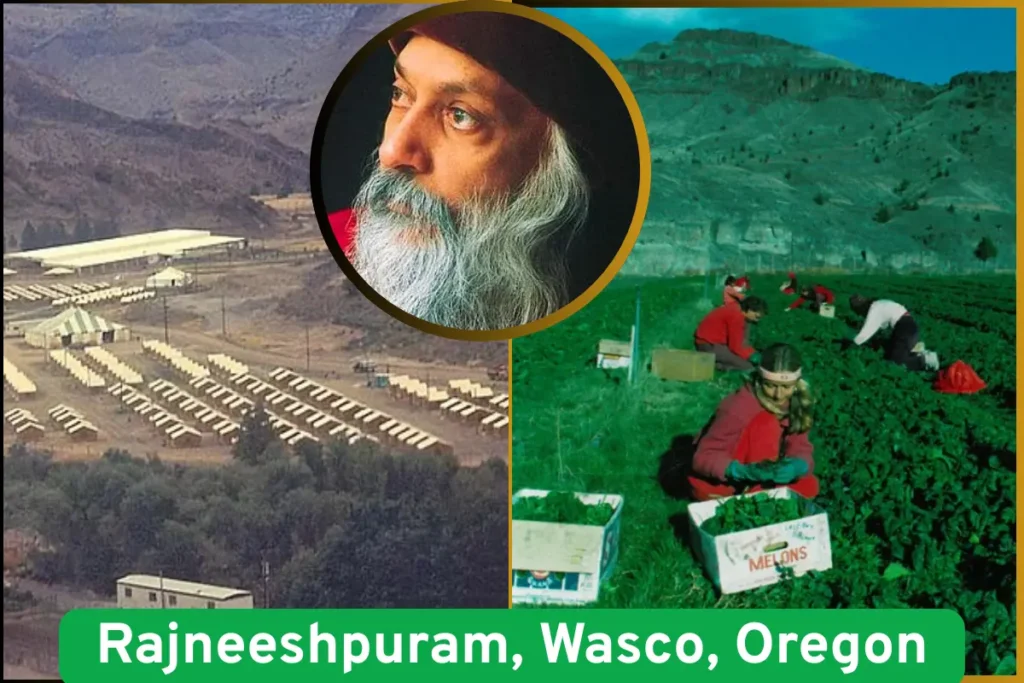 Rajneeshpuram-Waco-Oregon