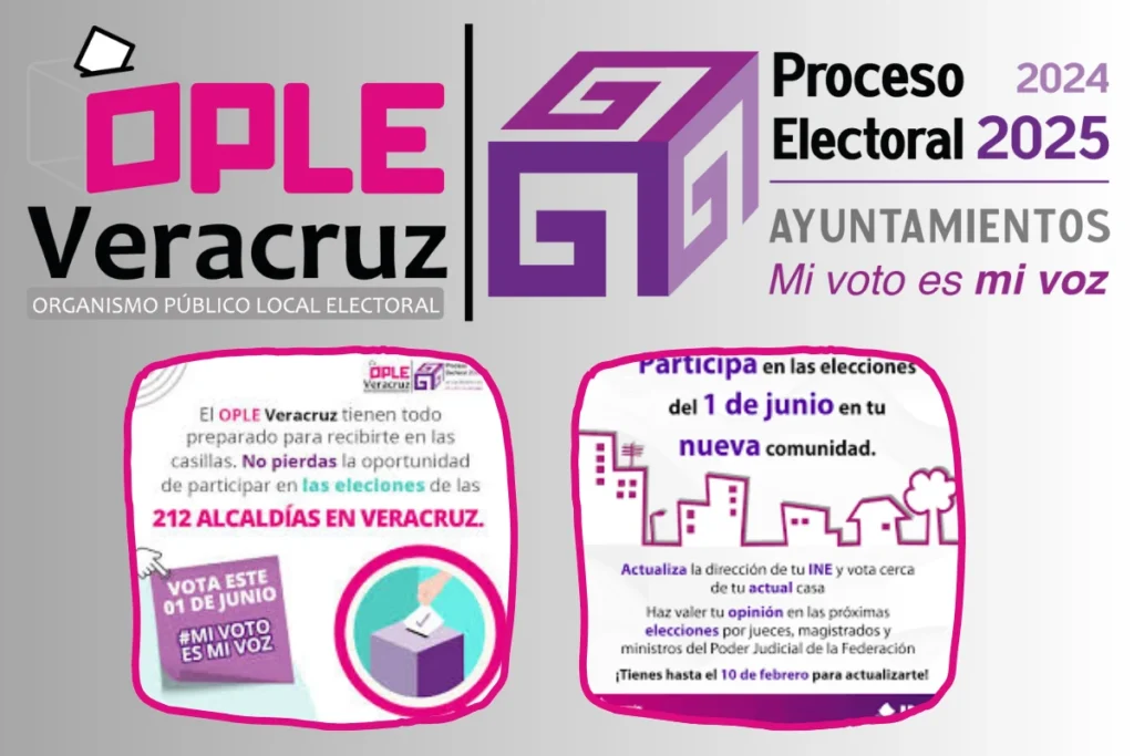 elecciones 1 de junio