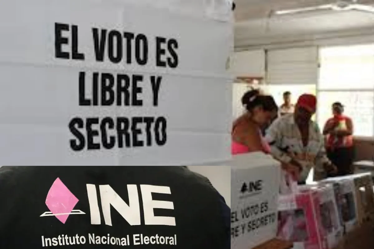 elecciones municipales Veracruz