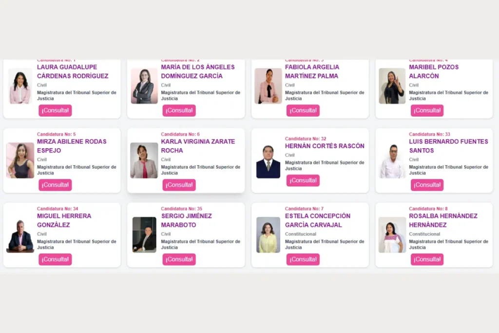 Candidatos Elecciones Poder Judicial Veracruz 2025