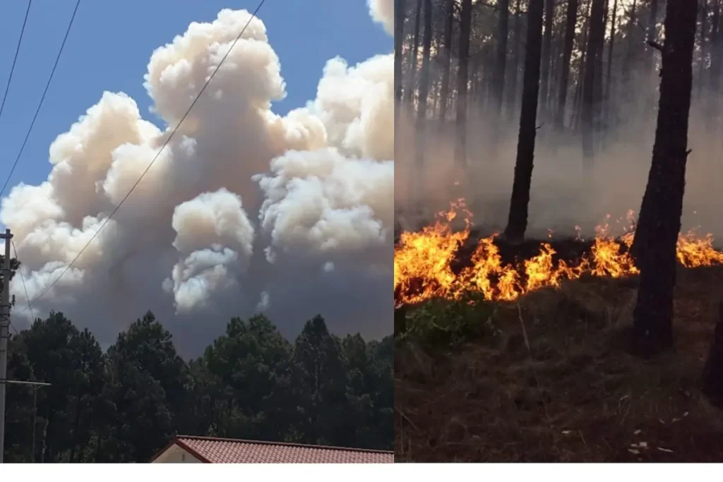 Incendios bosque