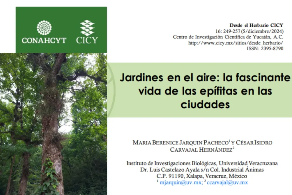 Jardínes en el aire